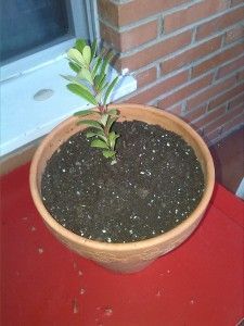 IMG_20160222_185948