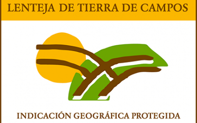 Segundo premio en el VII Concurso de microrrelatos Lenteja de Tierra de Campos