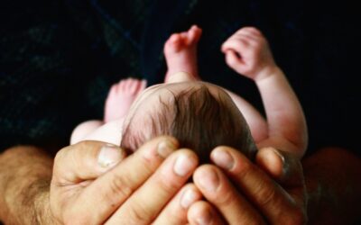 Sangre tibia